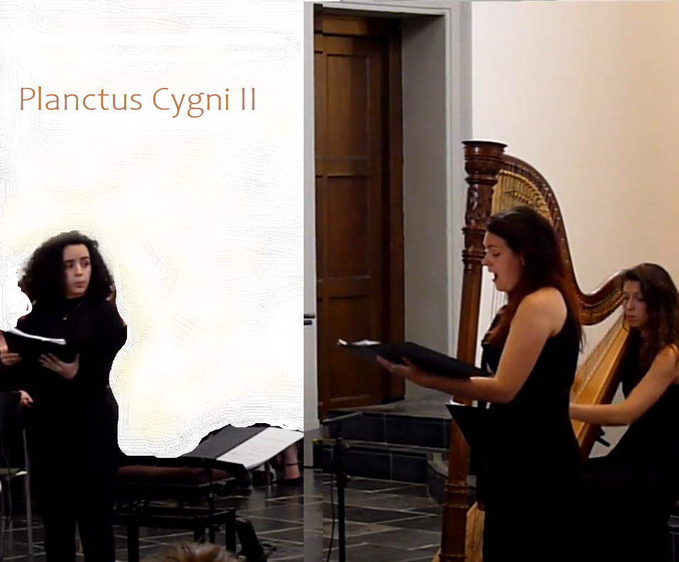 Compositie afbeelding